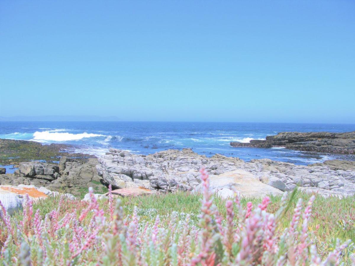 Вилла Beachfront House - Hermanus Whale View Экстерьер фото