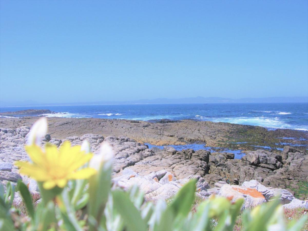 Вилла Beachfront House - Hermanus Whale View Экстерьер фото