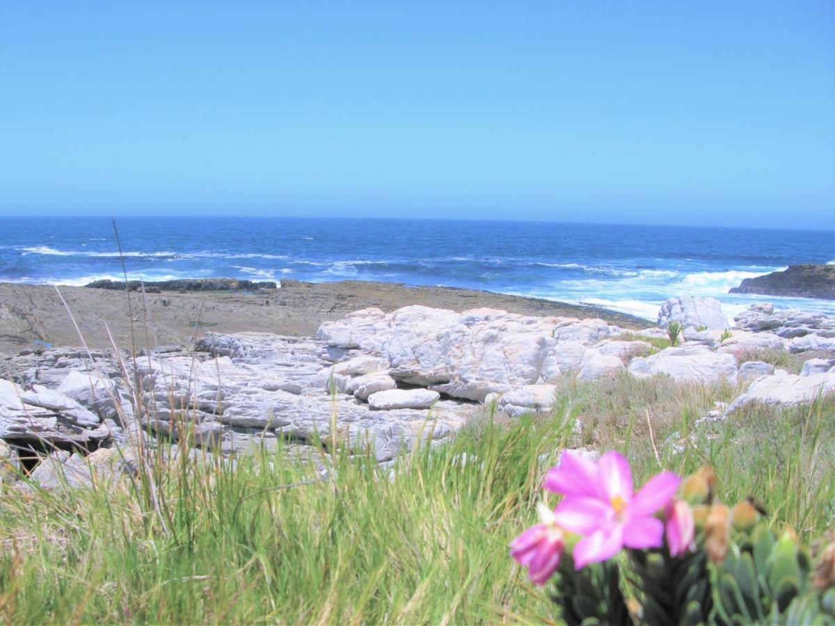 Вилла Beachfront House - Hermanus Whale View Экстерьер фото