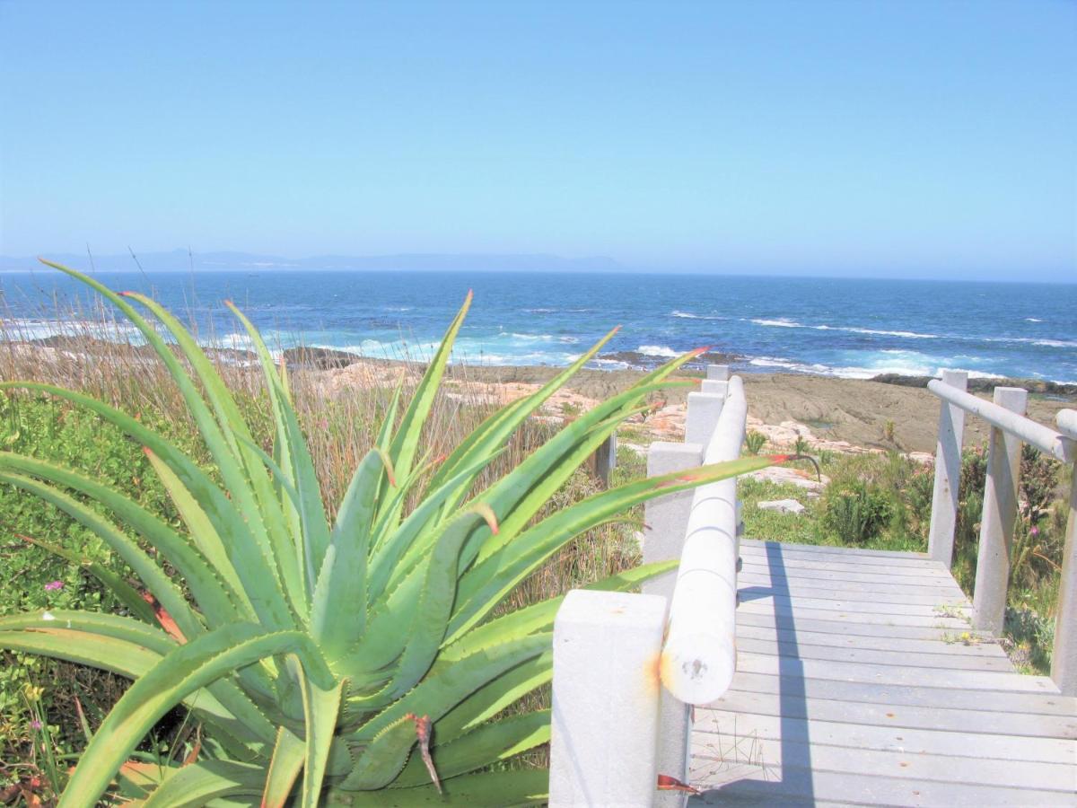 Вилла Beachfront House - Hermanus Whale View Экстерьер фото