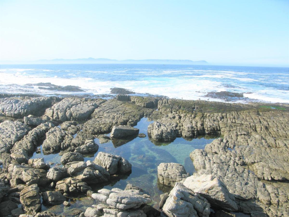 Вилла Beachfront House - Hermanus Whale View Экстерьер фото
