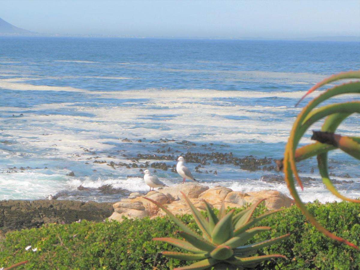 Вилла Beachfront House - Hermanus Whale View Экстерьер фото