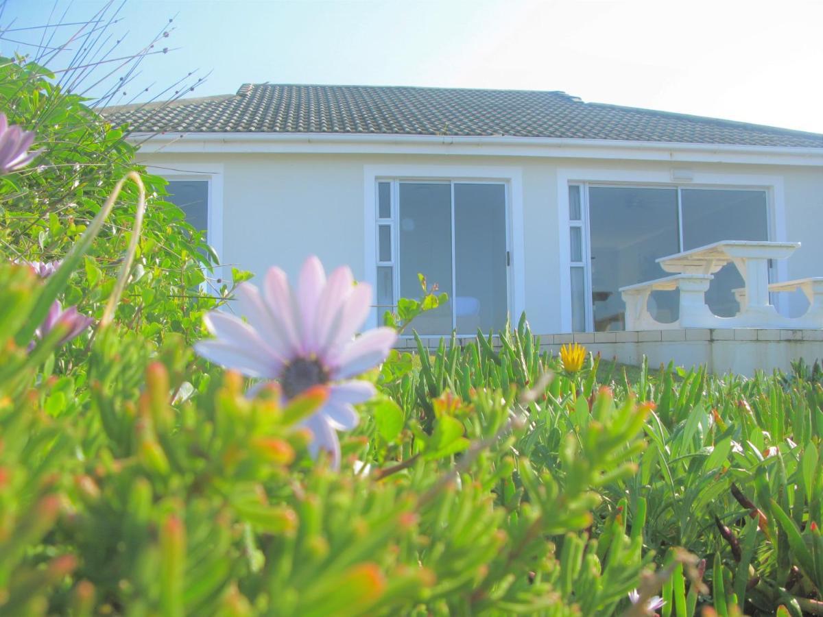 Вилла Beachfront House - Hermanus Whale View Экстерьер фото
